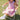 Milky | Pink and Lavender Check Dress | Sizes 8-12