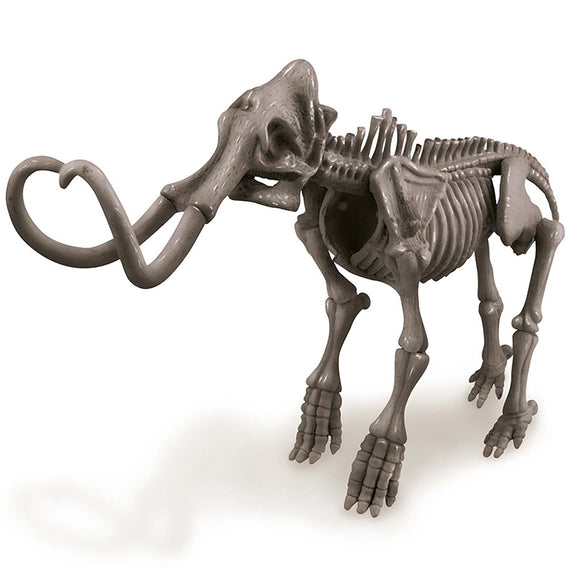 4M | Dig A Mammoth Skeleton