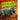 Dinosaurs Activity Book