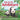 Baby Panda's Adventure