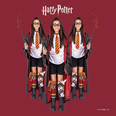 MadMia |  Harry Potter Socks