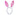 Easter Bunny Ears | Assorted