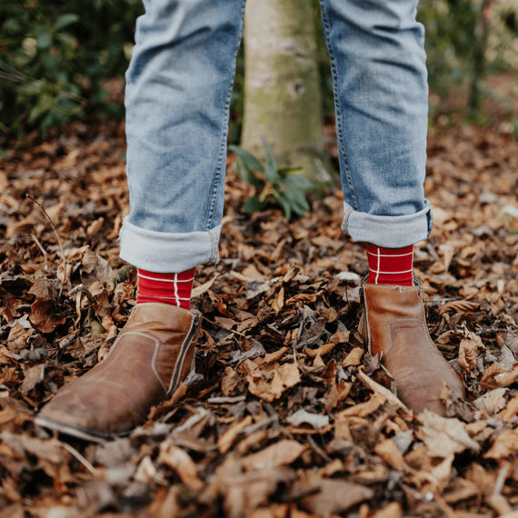 Lamington | Christmas Edition | Chimney Merino Socks |  Man Sizes